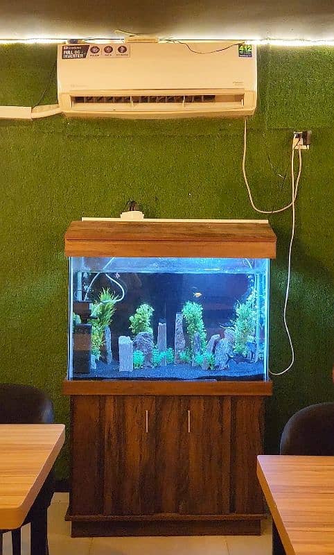 Fish Aquarium with Fishes 0