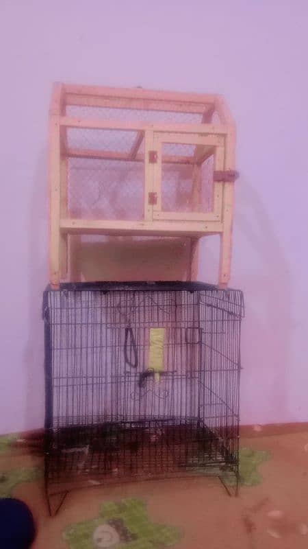 Birds Cages 0