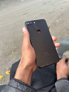 7plus