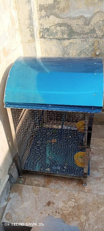 Parrots cage 1