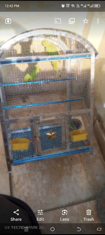 Parrots cage 2