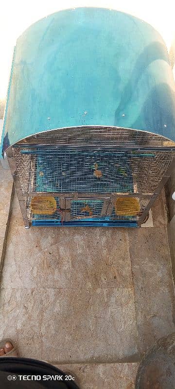 Parrots cage 3