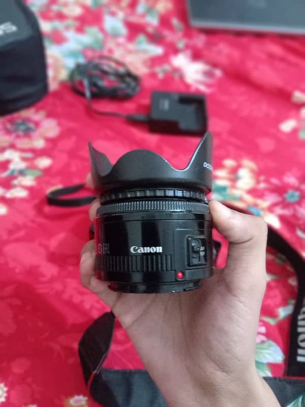 canon 550d 50mm f1.8 no 03254884349 5