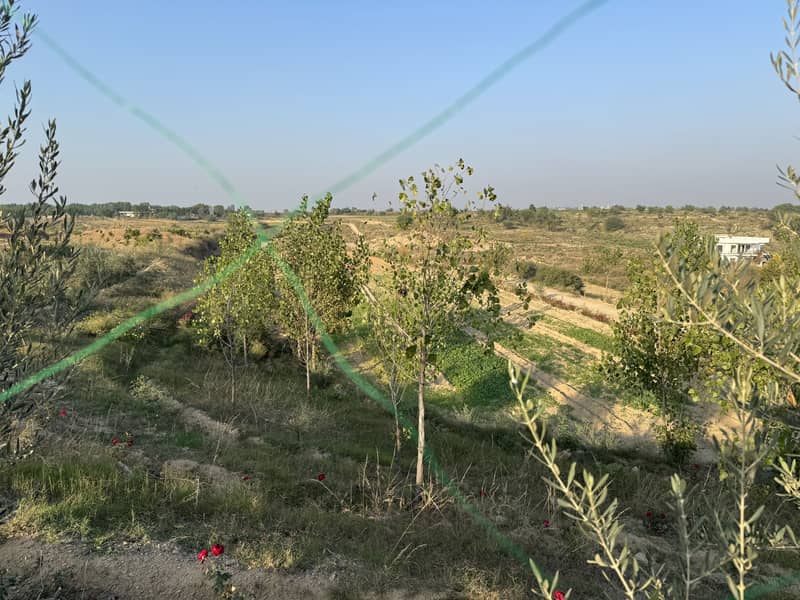 450 Kanal Land For Farm House Chakwal For Sale Punjab 11