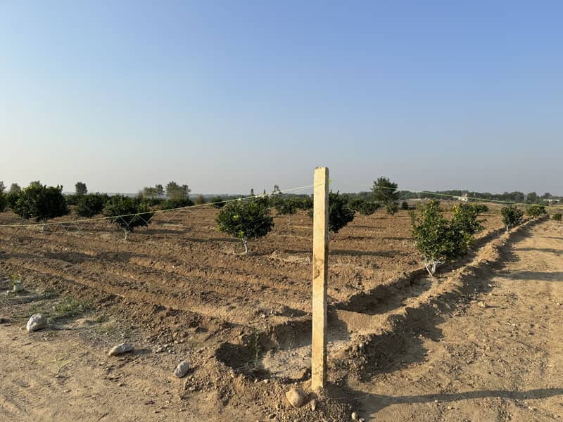 450 Kanal Land For Farm House Chakwal For Sale Punjab 13