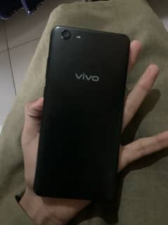 vivo