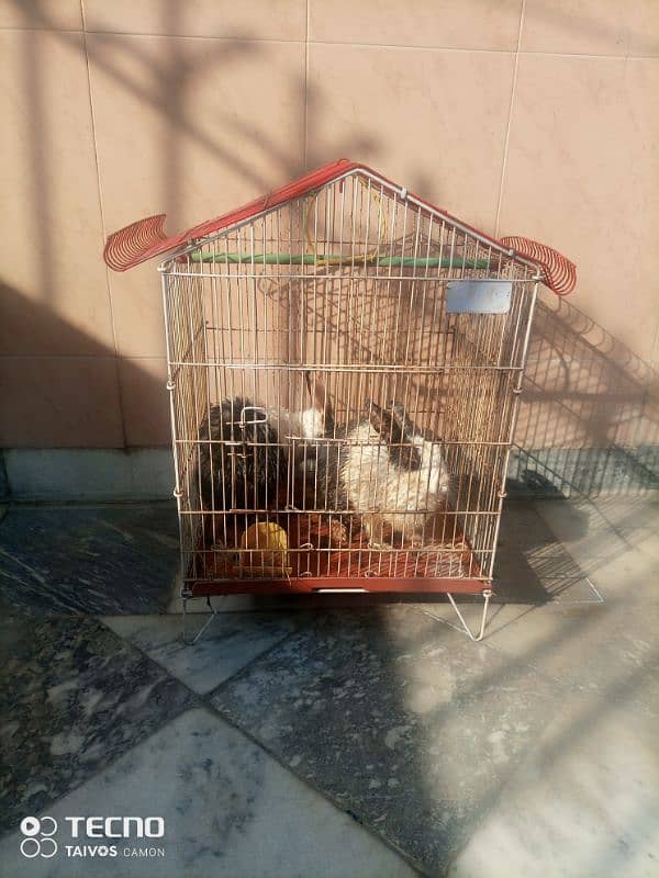 2rabbits +cage 2