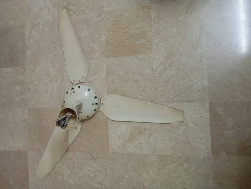 Fan for sold 2