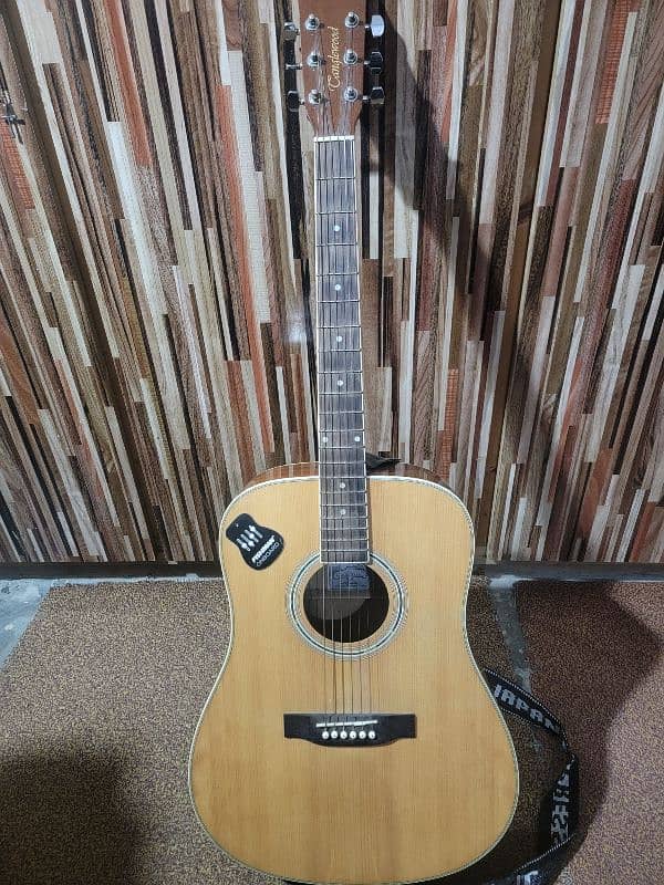 Tanglewood  imported acoustic guitar 0