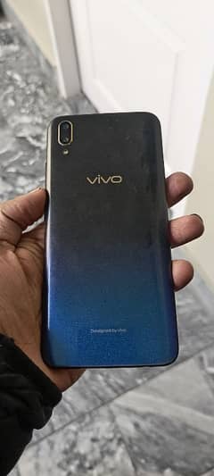 vivo