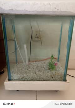 22 by 12 inch aquarium with accessories