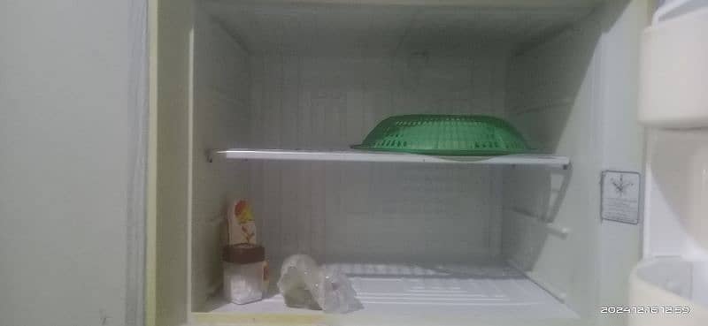 frige 1