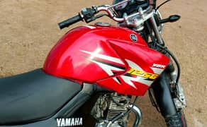 Yamaha