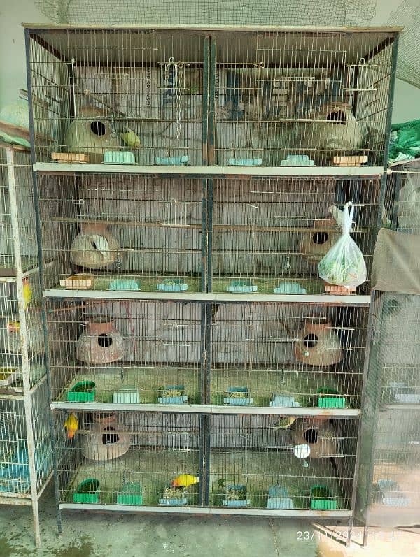 8 Portion Birds Cage 0