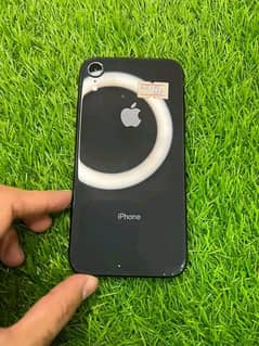 iPhone XR 256 GB memory 0328/3978/756