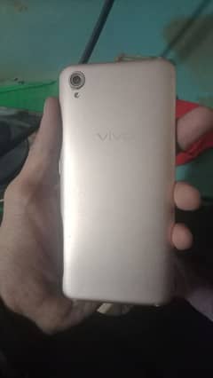 vivo