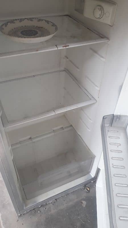 kenwood 6ft Fridge 1