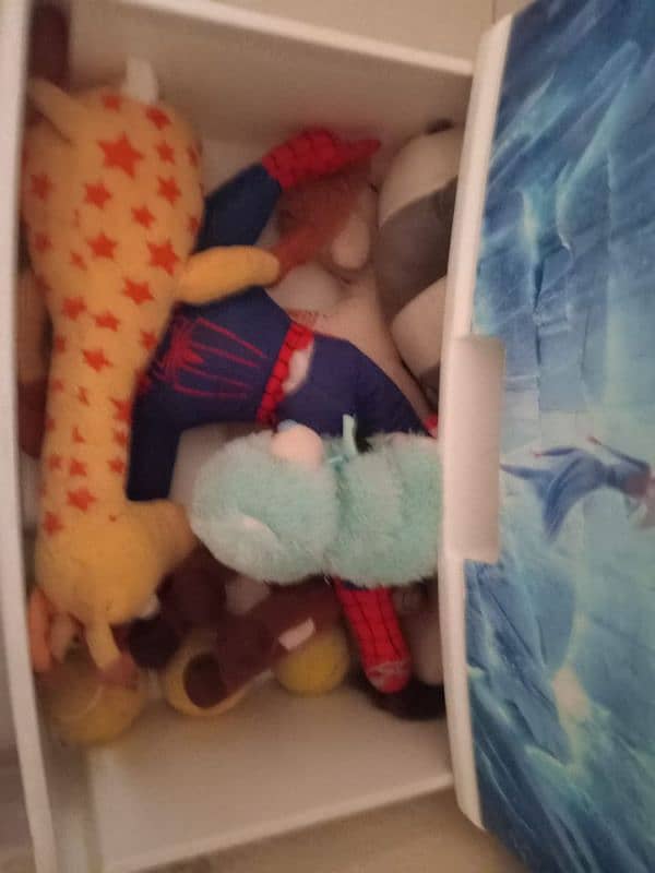 Frozen closet drawer 4