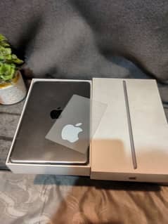 iPad