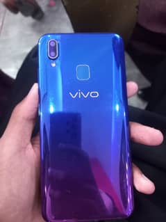 vivo