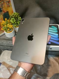 ipad mini 6