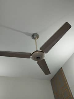 Ceiling Fan