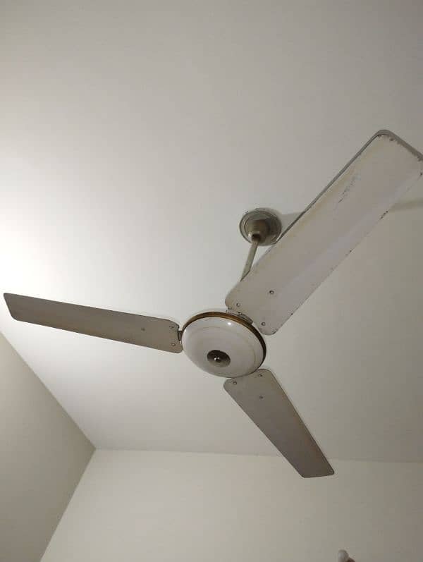 Ceiling Fan 1