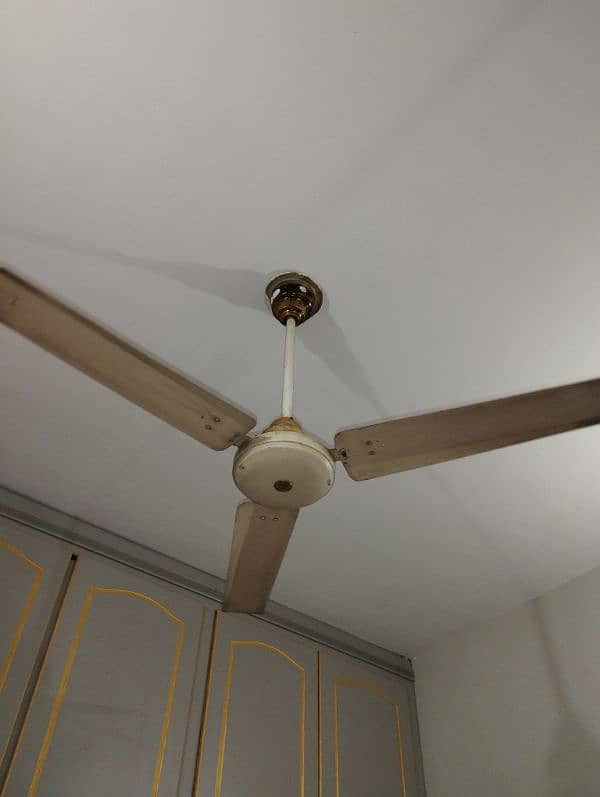 Ceiling Fan 2