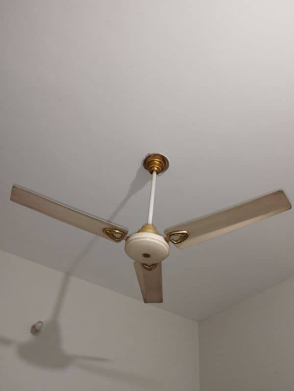 Ceiling Fan 3