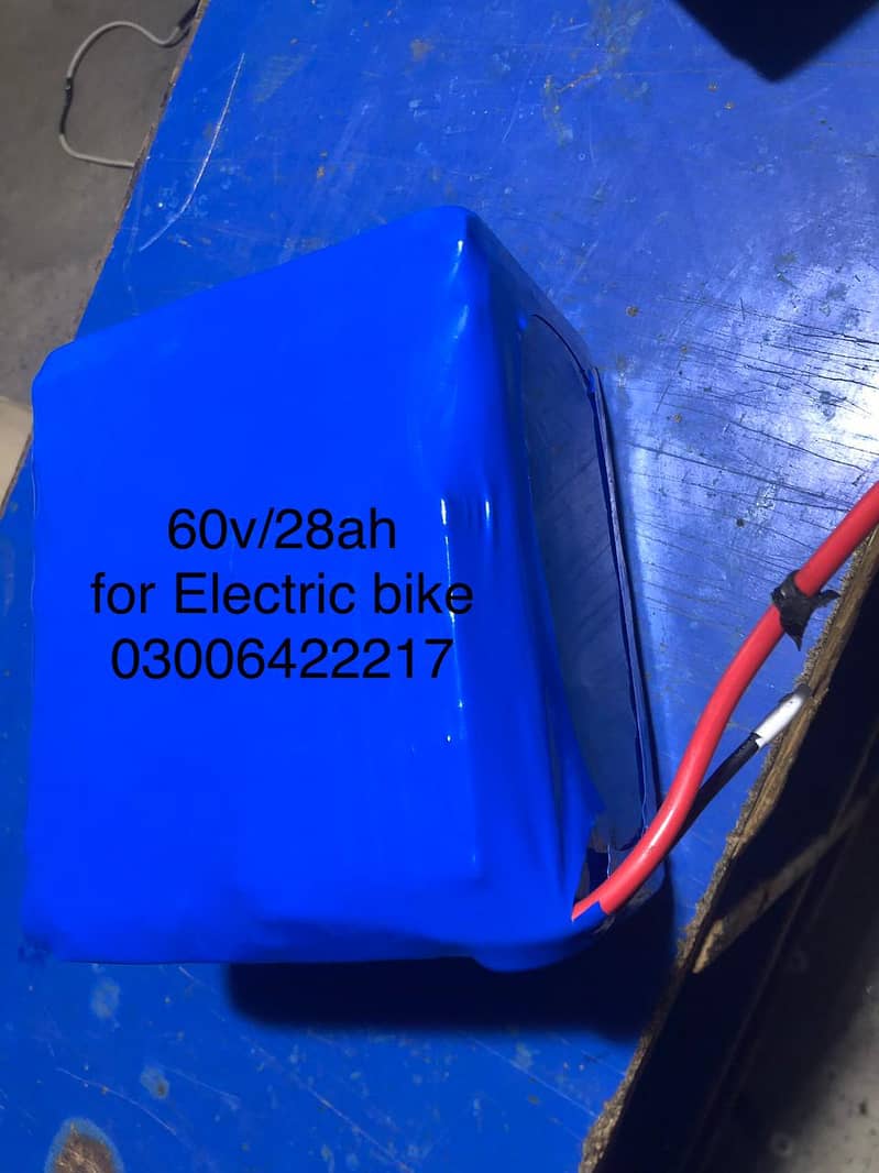 Electric Bike/Vehicle Batteries/Solar Batteries/Phosphate Ion Battery 8