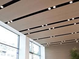 False Ceiling / Plastic Paris Ceiling /pop Ceiling / All Ceiling work 1