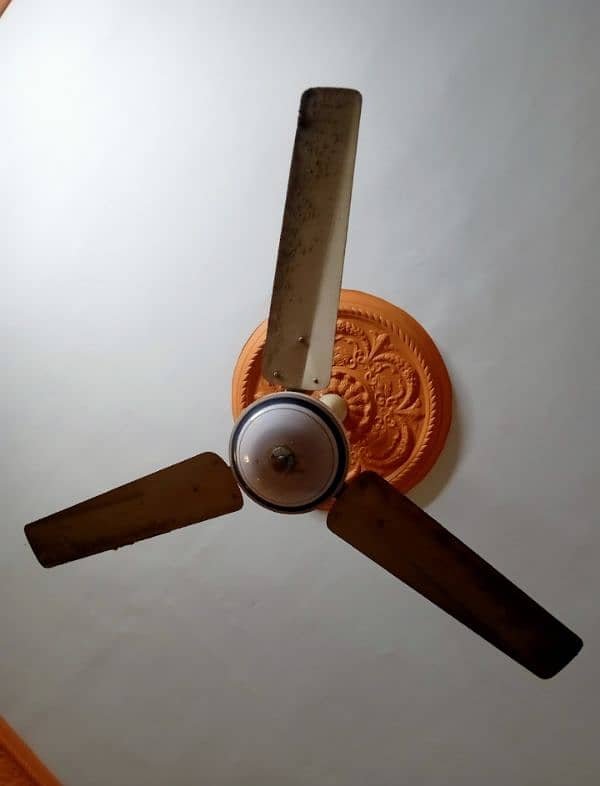 CEILING FAN 7