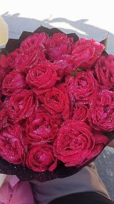 CH SoHaiL