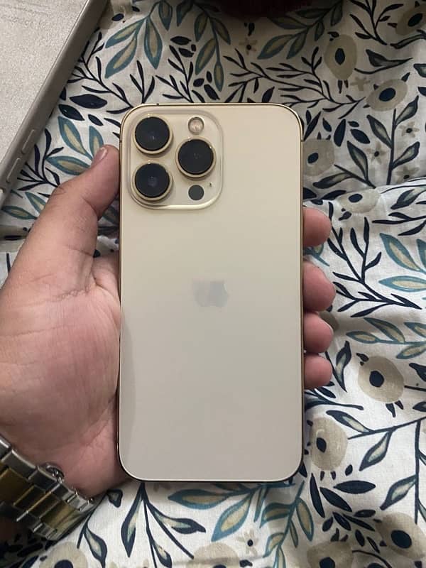 iphone 13 pro golden 2