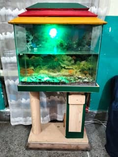 Fish Aquarium