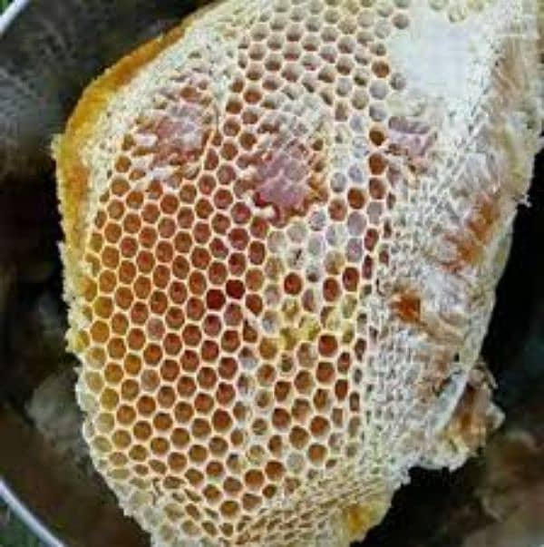 organic piyoor honey 6