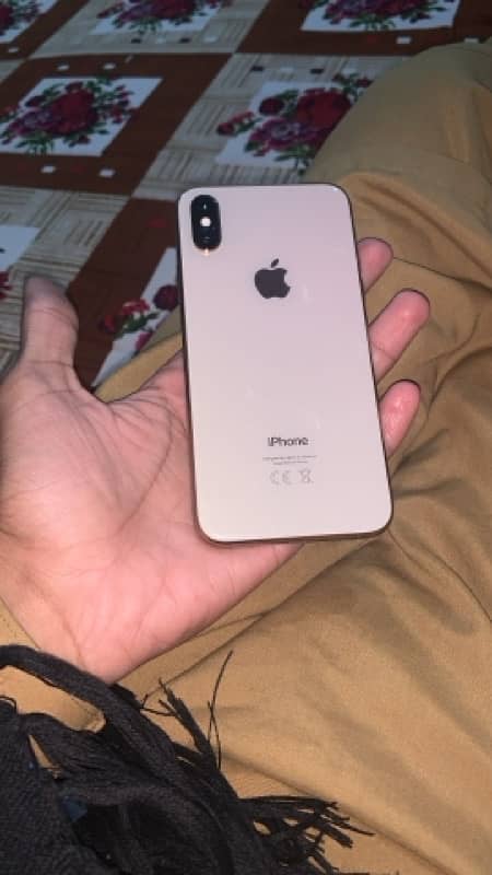 iphone XS 256 GB 0