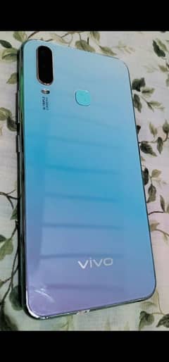 vivo