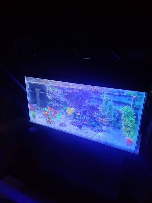 Aquarium 3 feet 2