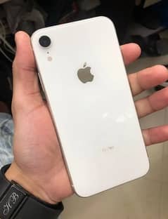 iPhone XR