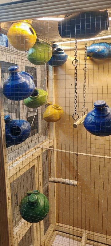 Modern Parrots Cage with Light 9