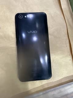 VIVO