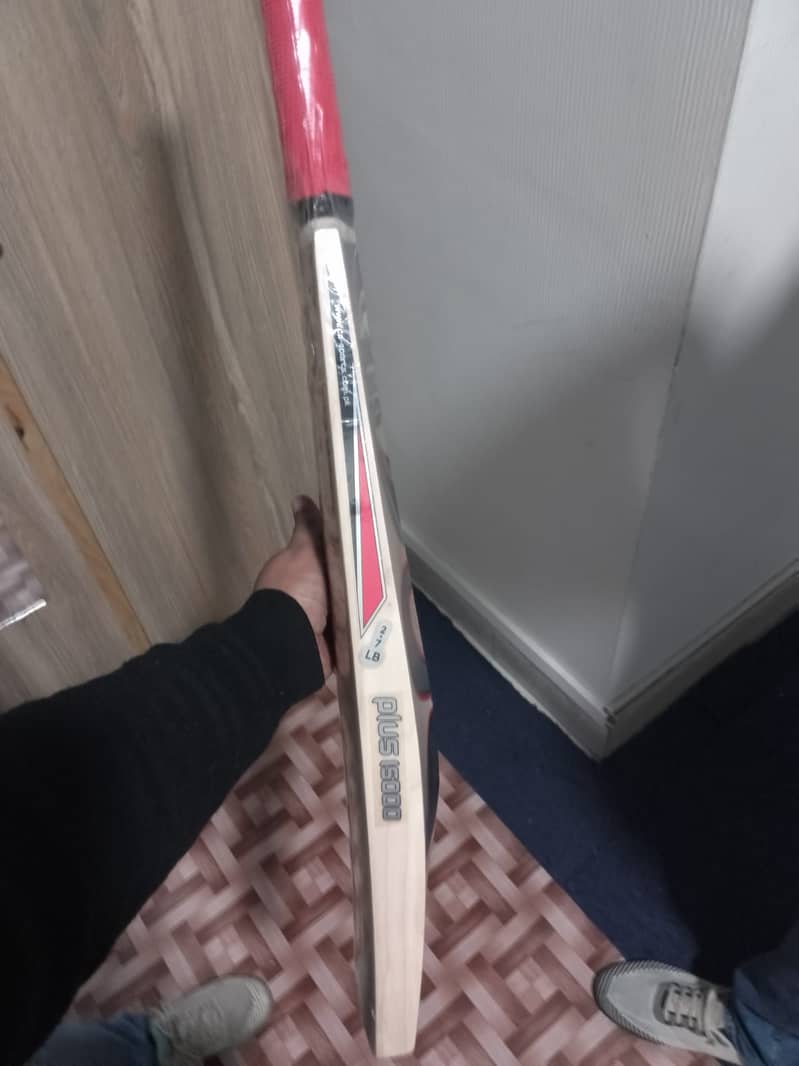 CA PLUS 15000 PLAYER EDITION CRICKET BAT 1