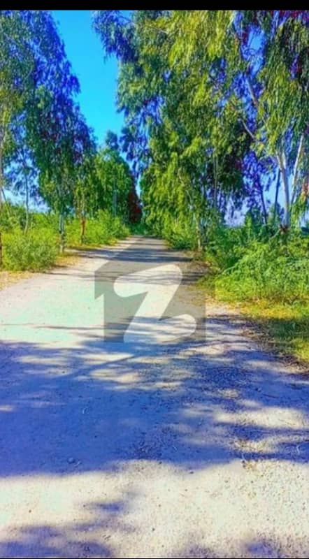 5 Marla plot for sale Chakri Road gulshan e Kashmir 2