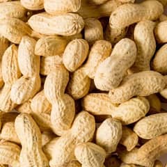 Mongphali Peanuts (600/kg)