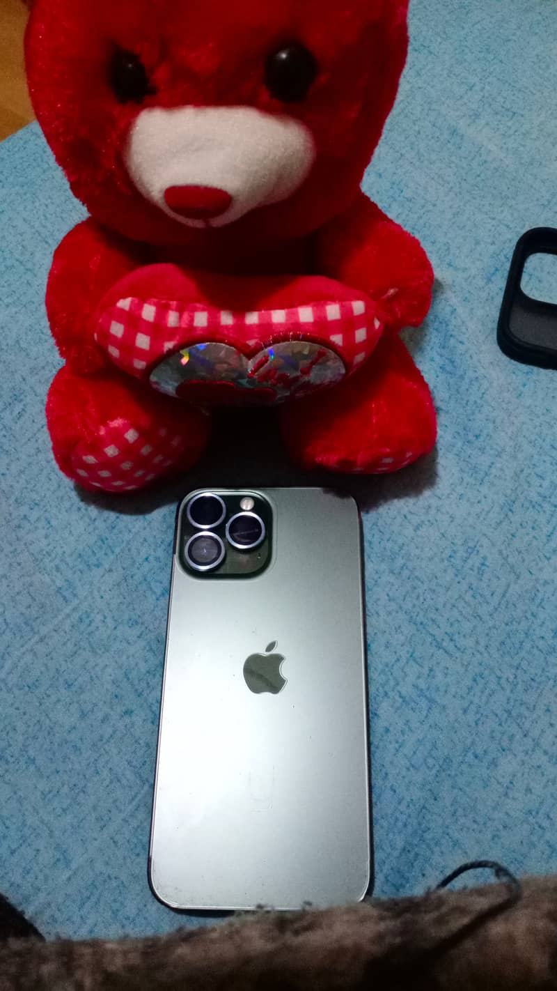 Apple iPhone 13 Pro Max 1