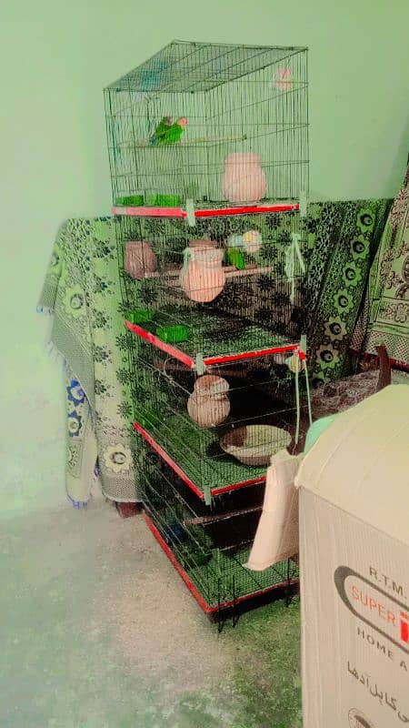 4 Portions Steel Cage with 1 pair LoveBird, 2 pairs Australian parrot 1