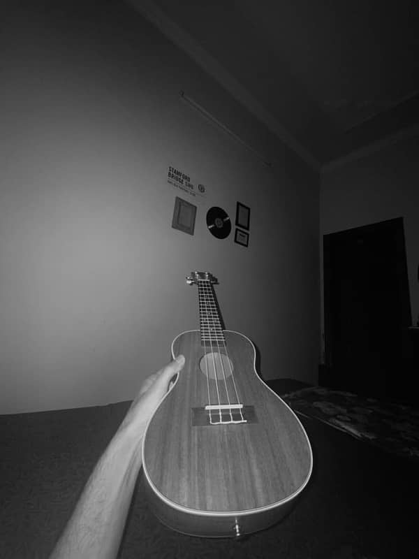 ukulele for sale 0