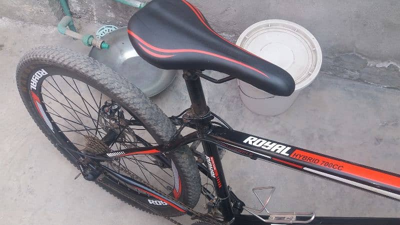 moutain bike royal cycle for sale 1