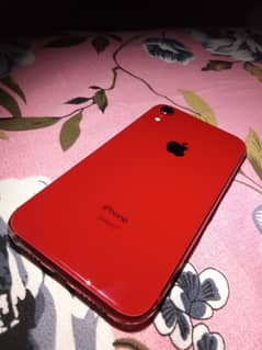 i phone xr